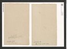 Synedra pulchella (Ralfs). Kuetz. (de-Toni-Nr.: Genus 66, Species 2582) Zeichnungen Sammlung Grunow (NHMW-BOT-W0373469)